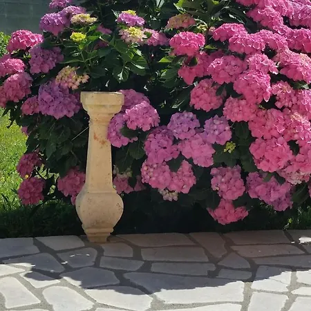 B&B Elgiada *